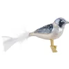 Glasvogel, blau/weiß