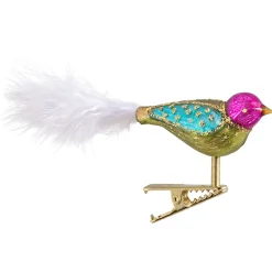 Glasvogel, bunt-grün