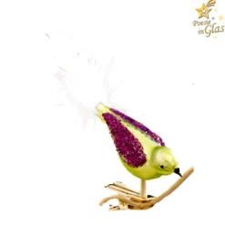 Glasvogel, grün-lila