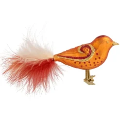 Glasvogel rot-orange-gold