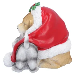 Hund und Katze unter Mütze