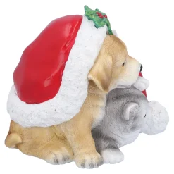 Hund und Katze unter Mütze