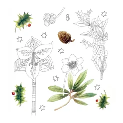 Kreativ-Adventskalender "Wundervolle Winterwelt"