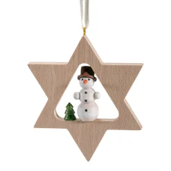 Stern mit Schneemann